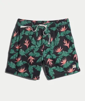 Hamilton Trunks