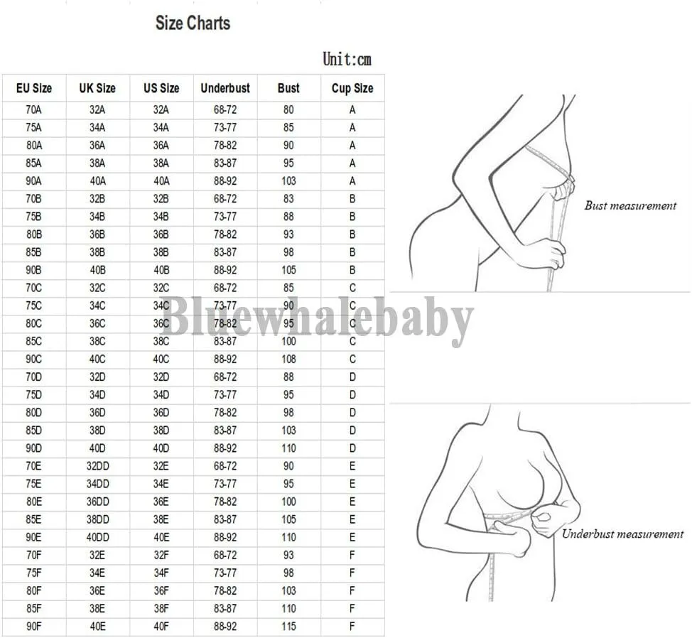 Women's Sexy Push Up Embroidery Lace Bra and Panties Lingerie Set (Suspender Garter Belt & Stockings Optional)